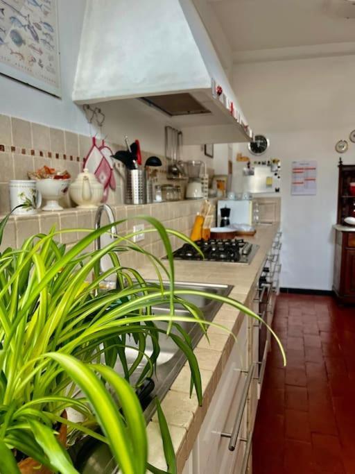 Casa - Stella Apartment *