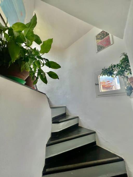 Apartment Casa - Stella Genua